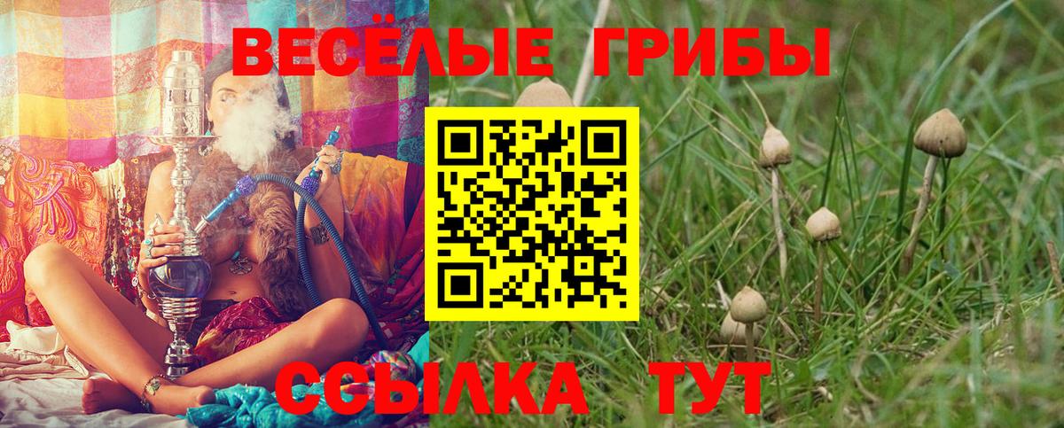 Качканар  Галлюциногенные грибы мухоморы  Вход с VPN 