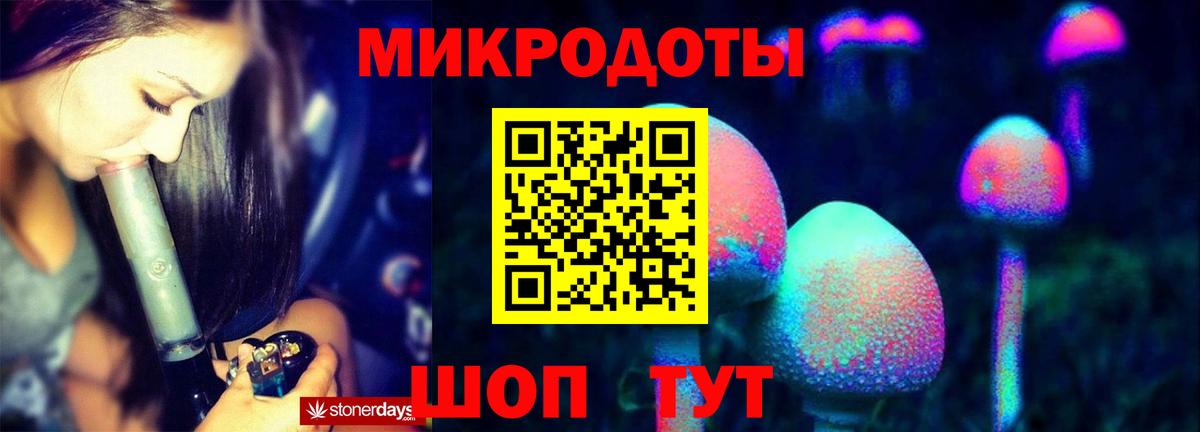 Галлюциногенные грибы Качканар